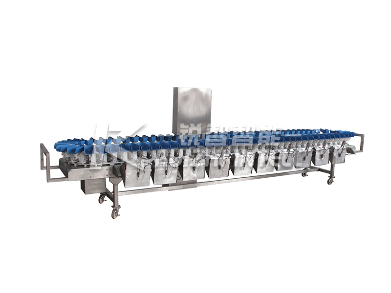 【銳智出品系列】之食品稱(chēng)重分級(jí)、智能包裝整體解決方案